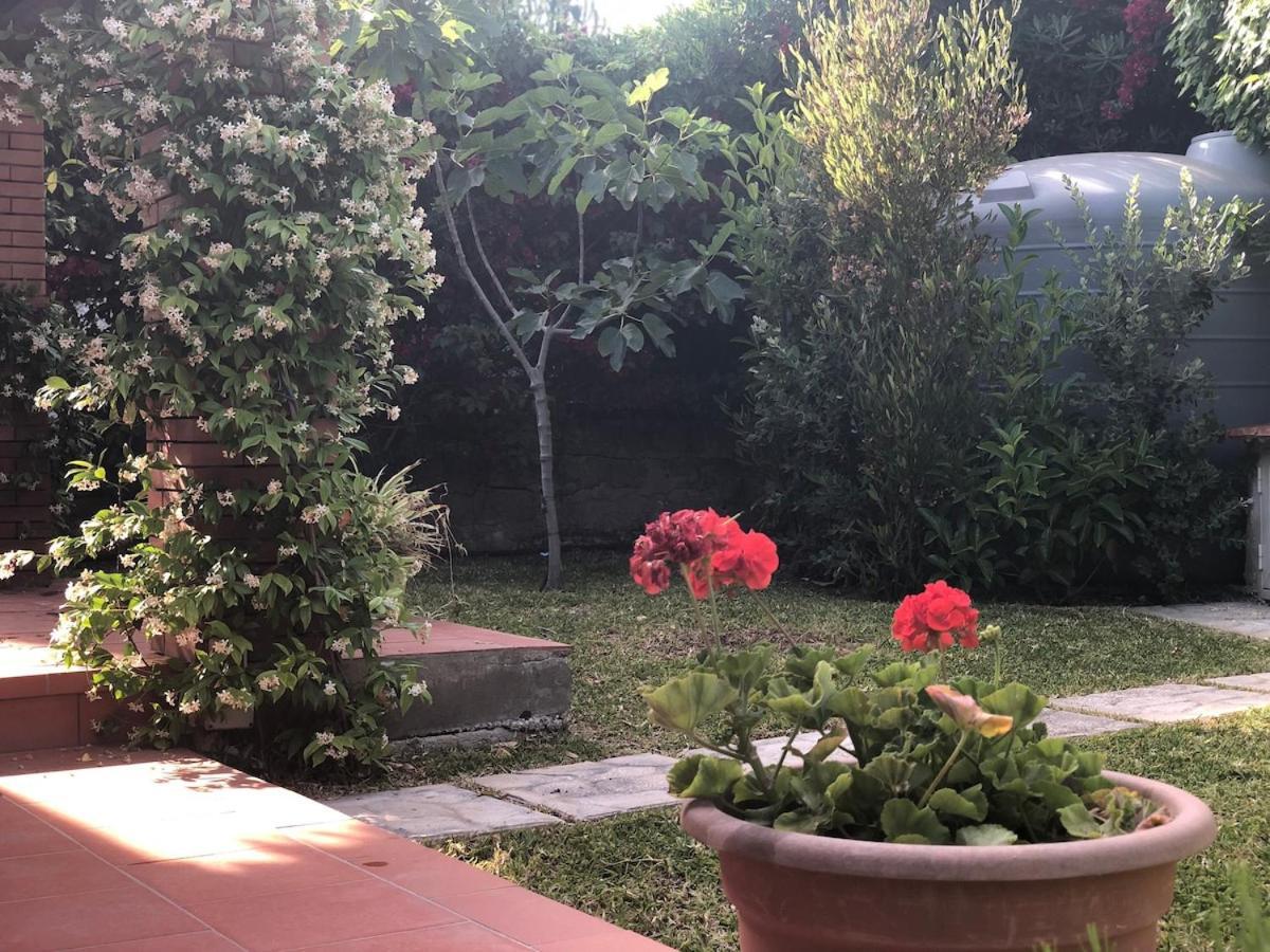 Le Tre Palme Fontane Bianche Exterior foto