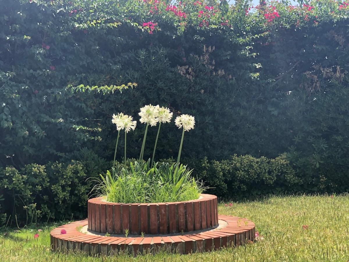 Le Tre Palme Fontane Bianche Exterior foto